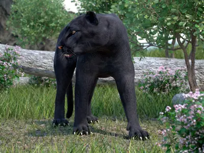 Black Panther Walking Pose 3D model