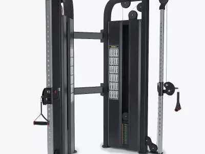 Freemotion Instinct Dual Pulley 3D model