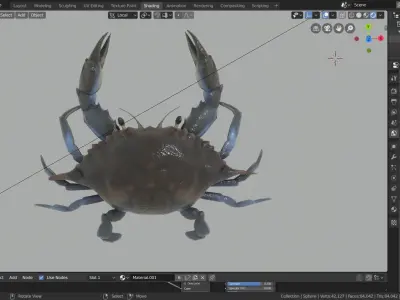 blue crab 3D model