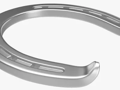 Horseshoe 1 3D model