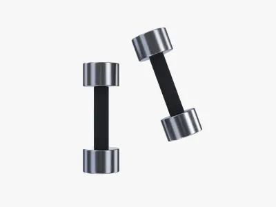 Dumbbell pair 3D model