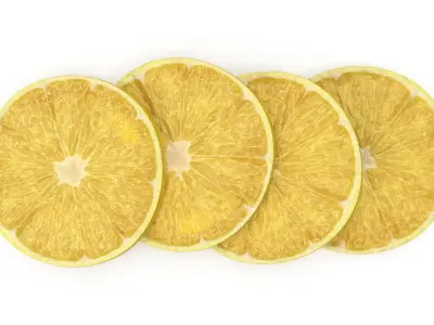  LemonSlices 