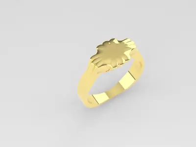 Rings Women And Man Rings 3dm 3D print model