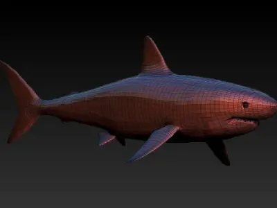 base shark Low-poly 3D model