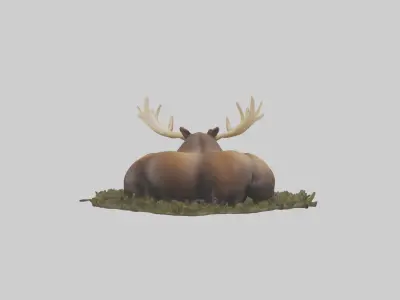 Sleeping Moose Model Low-poly 3D model