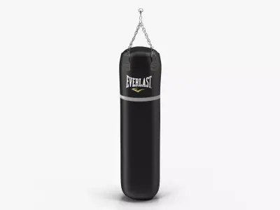 Everlast Super Leather Heavy Punching Bag Low-poly 3D model