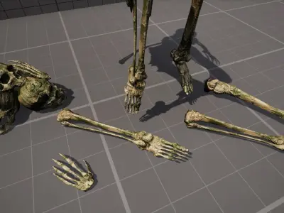 Mossy Skulls VOL 1 Low-poly 3D model