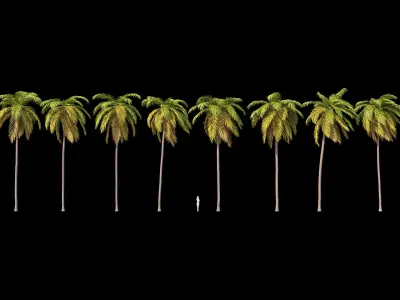 Palms Set 021-030 3D model