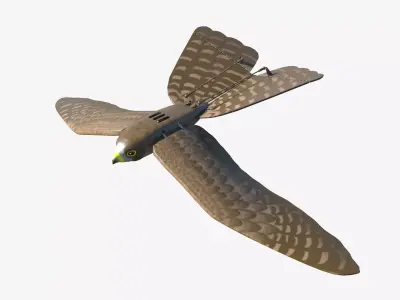 Aerium Robird falcon drone Low-poly 3D model