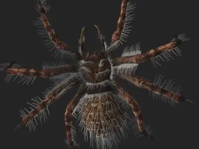 Spider rigged Low-poly 3D model