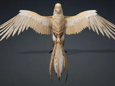 Hawk-A5 3D model