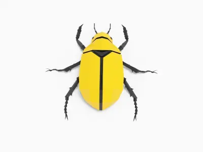 Bug low poly polygonal beetle Low-poly 3D model