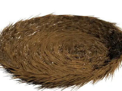 bird nest 3D model shop