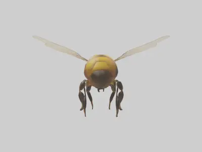 Honeybee flying model Low-poly 3D model