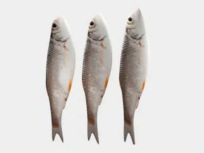 Small fish Low-poly 3D model