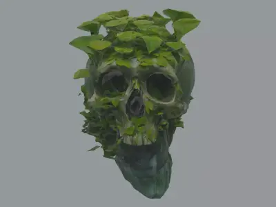 Emerald Cranium Free 3D model