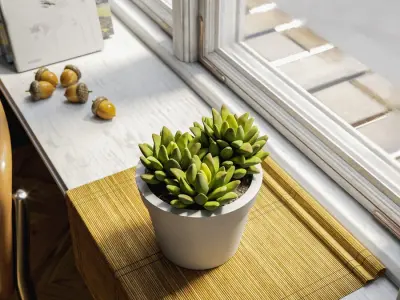  Baby Agave Plant Succulent Potted Plant Model 