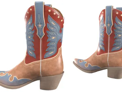 Eagle Star Cowboy Boots 3D model