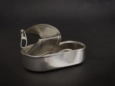 Opened Tin Can Set  3D model