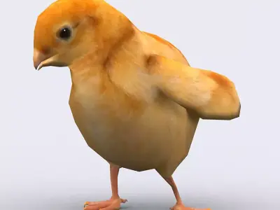 3DRT - Chick Low-poly 3D model