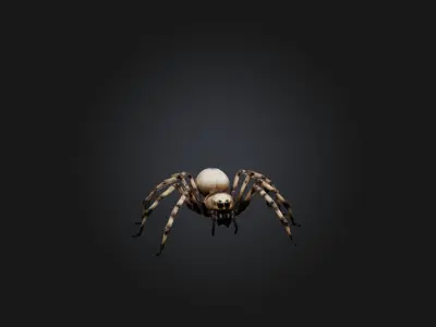 Giant Spider Low-poly 3D model