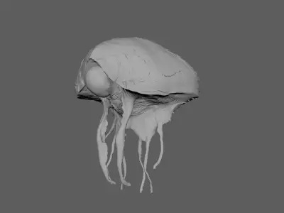 Creature 3D model 51