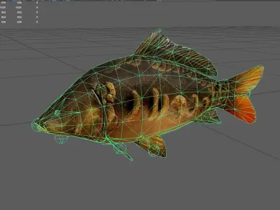MirrorCarp Low-poly 3D model purchase