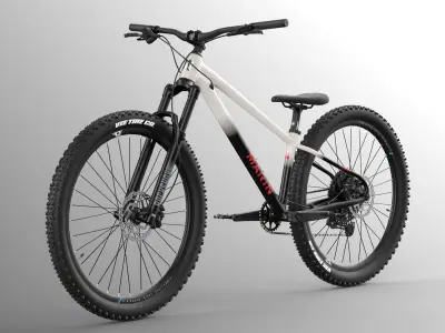 MTB hardtail in white black  Low-poly 3D model