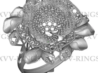 NEW TURKISH RINGS LOT XVSS-21 TO 30 3D print model