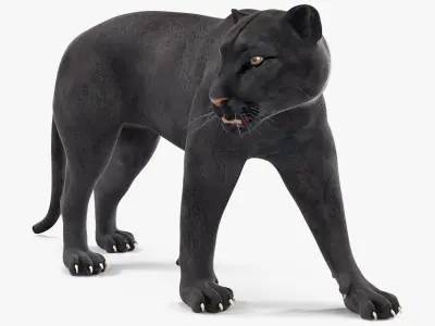Black Panther Walking Pose 3D model