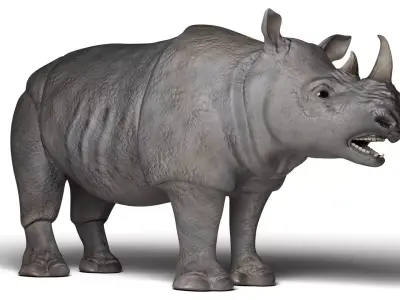 Rhinoceros 3D model