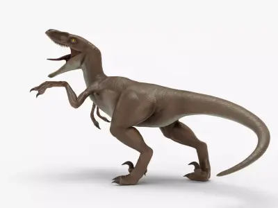 Realistic Velociraptor Rigged 3D Model Low-poly 3D model
