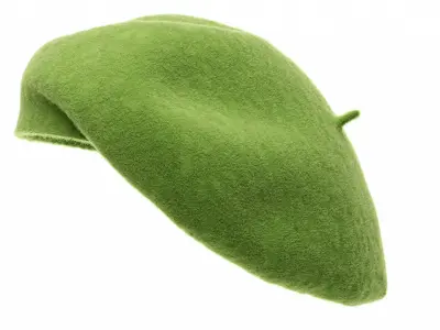 Wool Beret 3D model