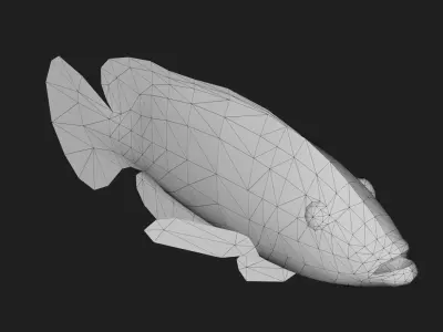 Fish Grouper Low-poly 3D model