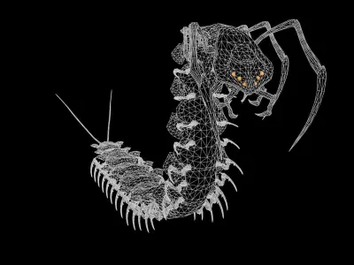 Centipede Low-poly 3D model buy