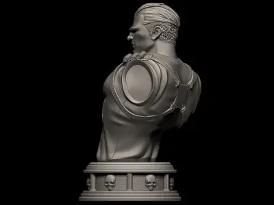 Fanart THE PUNISHER - Bust 3D print model