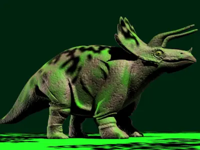 Triceratops model dinosaur 3D model