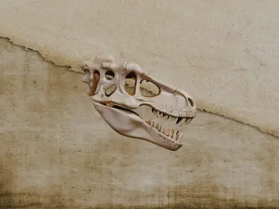 Skull T-rex Low-poly 3D model