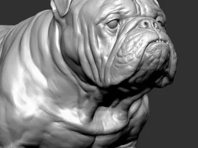  English Bulldog VFX Zbrush sculpt 