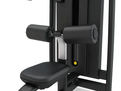 Technogym - Selectorised - Lat Machine 3D model