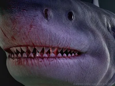 Otodus Megalodon 3D model