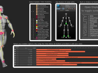 Motion Capture Anatomy Combo 3D model