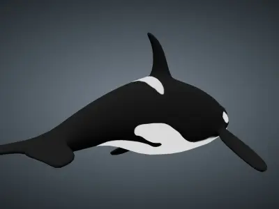 Killer Whale Orca - Rigged Free low-poly 3D model