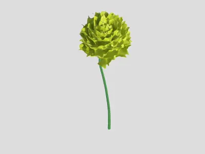 Flower Free 3D model