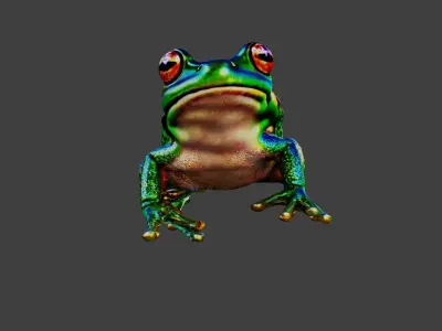 Frog Animal Low-poly 3D model buy