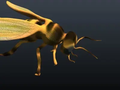 honey bee 3D model buy