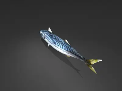 Mackerel Fish Low-poly 3D model