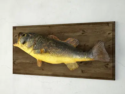 Vintage Fish Mount 3D model