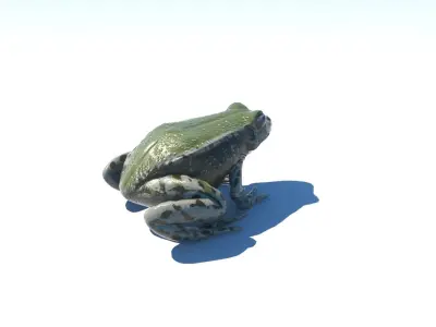 Frog low-poly 3D model on sky Free low-poly 3D model