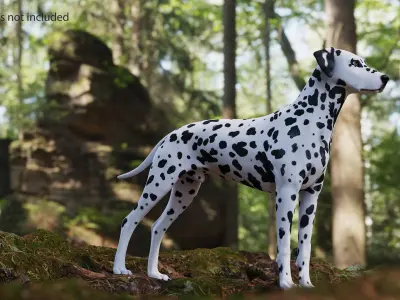 Spotted Dalmatian Dog Rigged for Maya 3D model